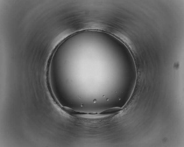 X0000091241135200708161731