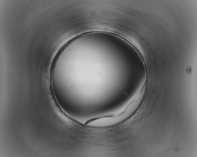 X0000091241136200708161731