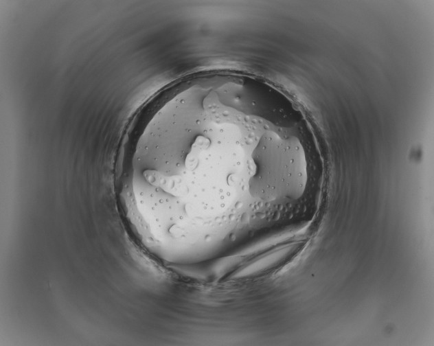 X0000091241137200708161731