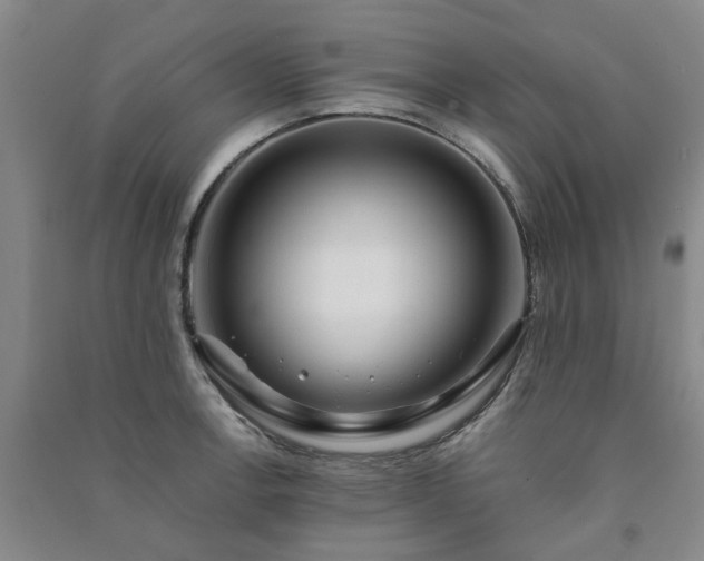 X0000091241138200708161731