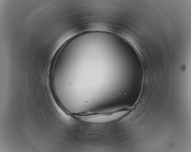X0000091241139200708161731