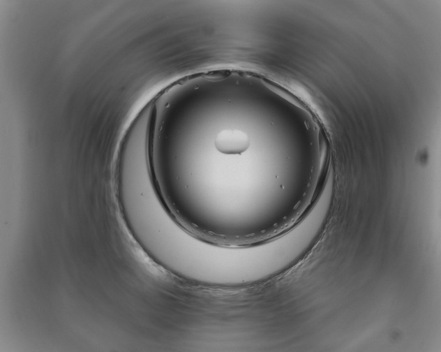 X0000091241140200708161731