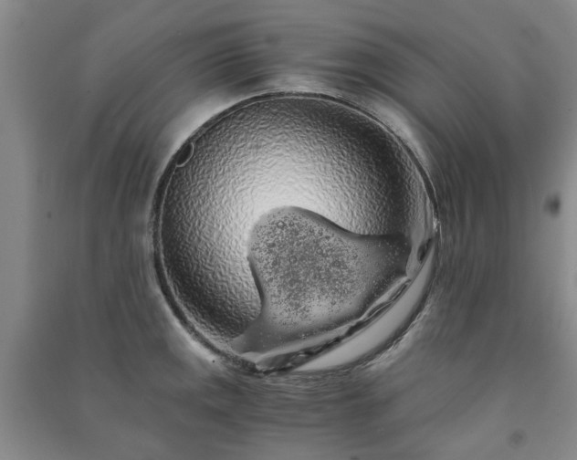 X0000091241141200708161731