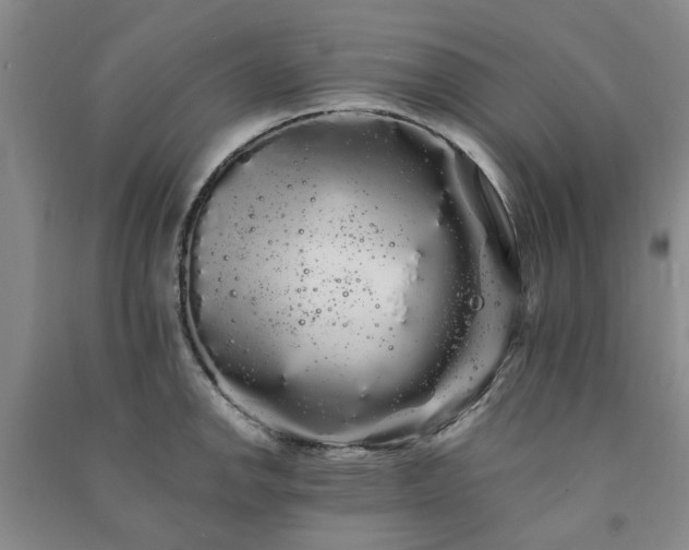 X0000091241142200708161731