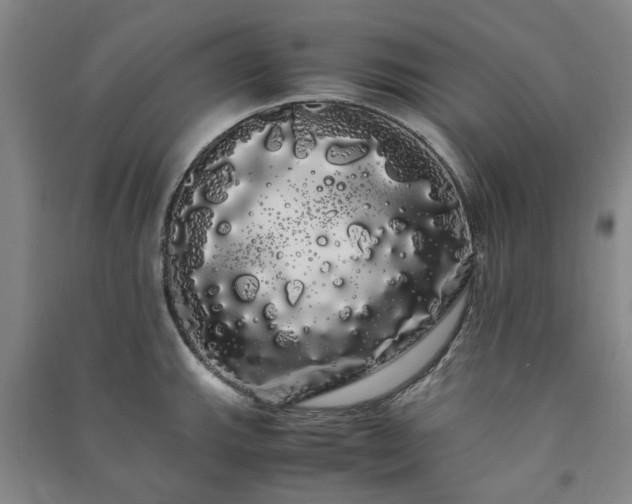 X0000091241143200708161731