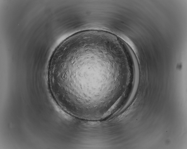 X0000091241144200708161731