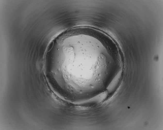 X0000091241145200708161731
