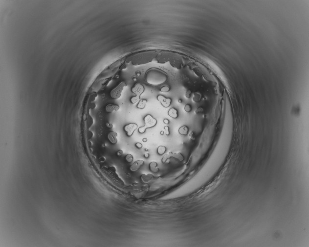 X0000091241146200708161731