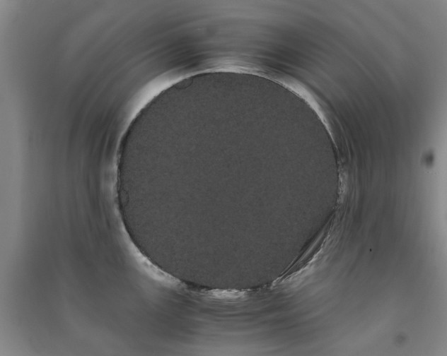 X0000091241147200708161731