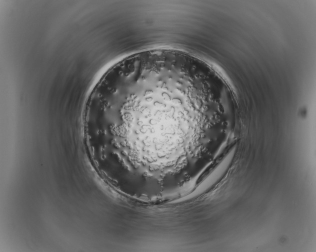 X0000091241148200708161731