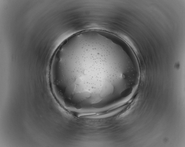 X0000091241149200708161731