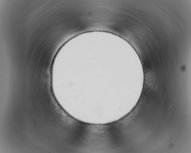 X0000091241150200708161731