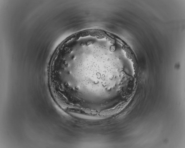 X0000091241151200708161731