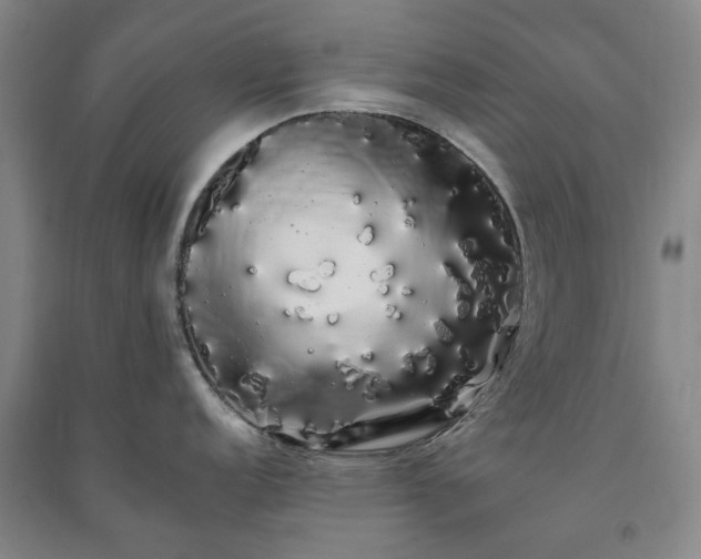 X0000091241152200708161731