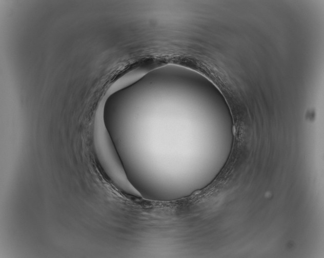 X0000091241153200708161730