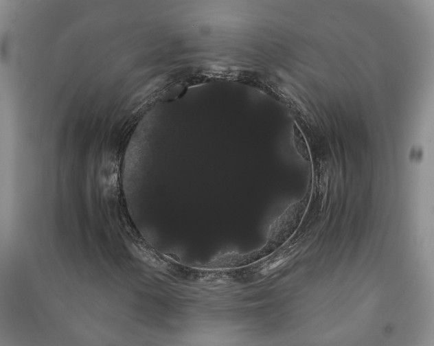 X0000091241154200708161730