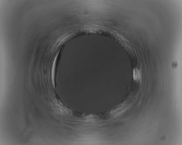 X0000091241155200708161730