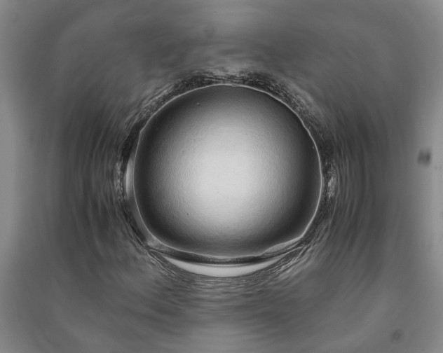X0000091241156200708161730