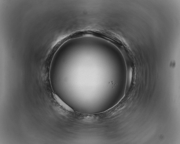 X0000091241160200708161730