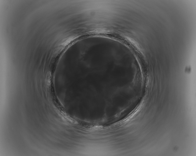X0000091241161200708161730