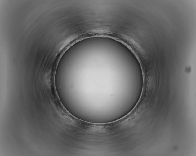 X0000091241162200708161730