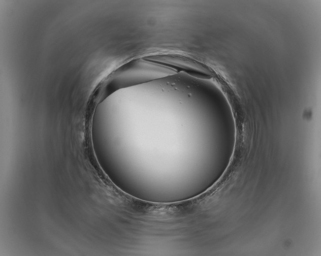 X0000091241165200708161730