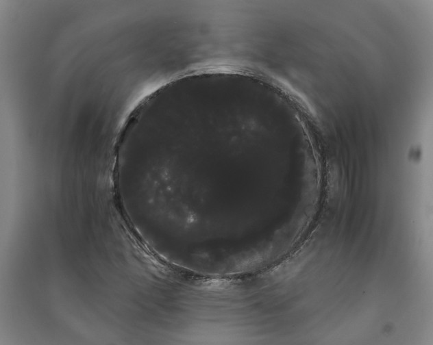 X0000091241166200708161730