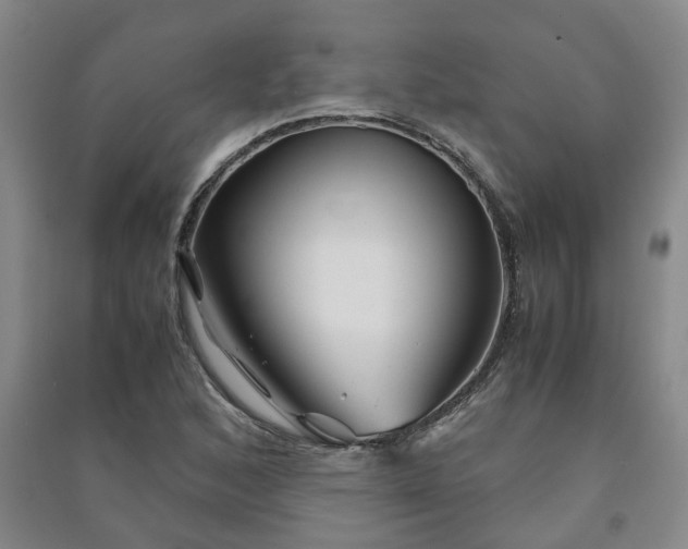 X0000091241168200708161730