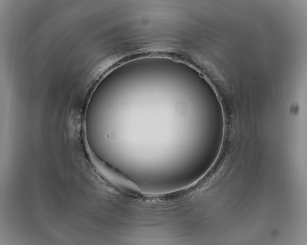 X0000091241169200708161730
