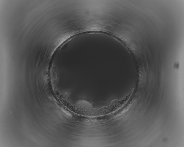X0000091241170200708161730