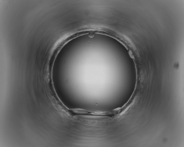 X0000091241172200708161730
