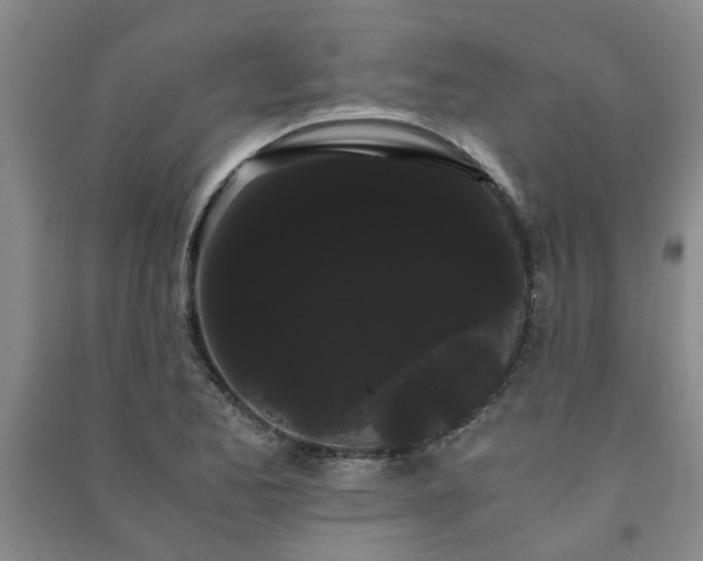 X0000091241173200708161730