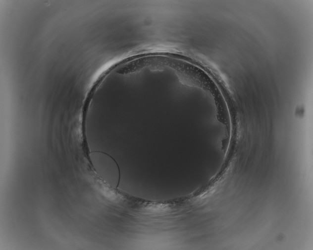 X0000091241174200708161730