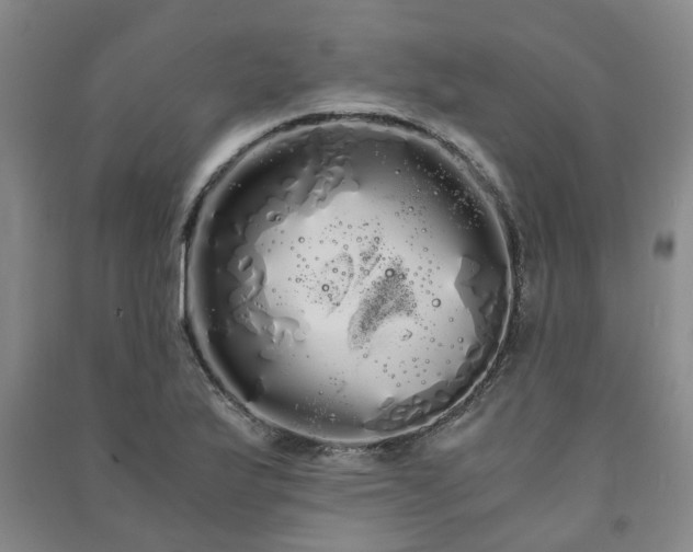 X0000091241175200708161730