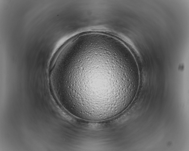 X0000091241176200708161730