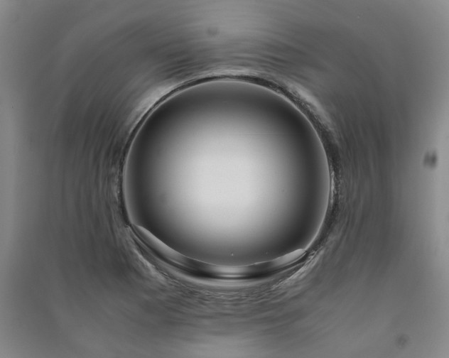 X0000091241177200708161730