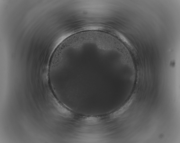 X0000091241178200708161730