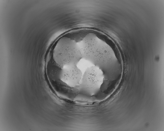 X0000091241179200708161730