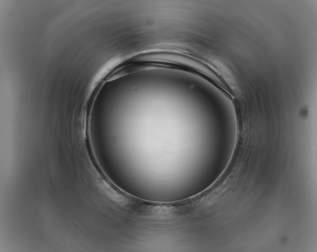 X0000091241180200708161730