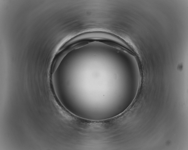 X0000091241181200708161730