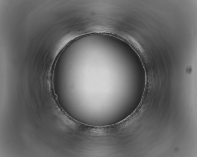 X0000091241182200708161730