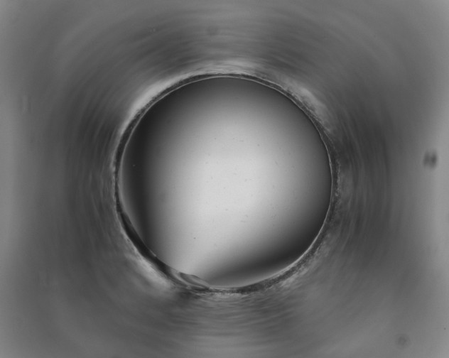X0000091241184200708161730