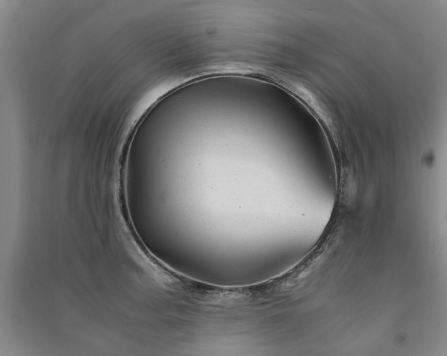 X0000091241187200708161730