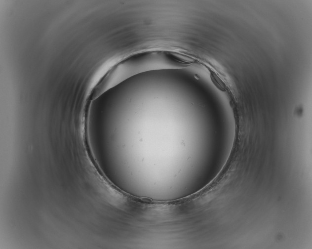 X0000091241188200708161730
