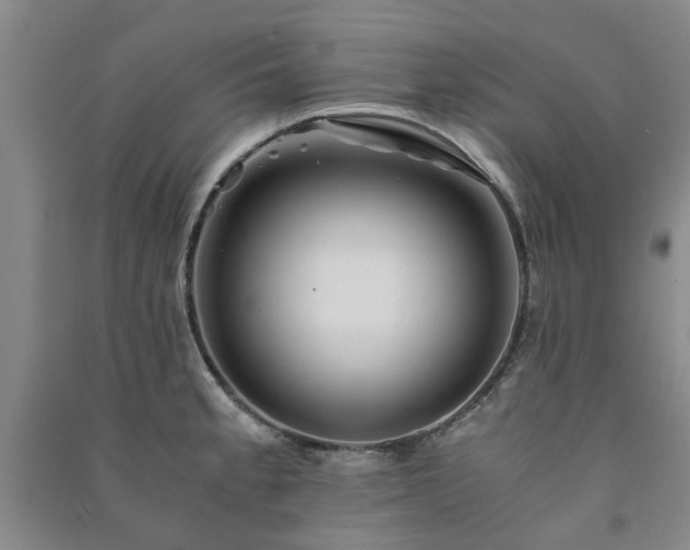 X0000091241189200708161730