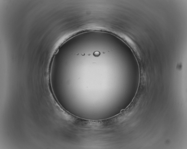 X0000091241191200708161730