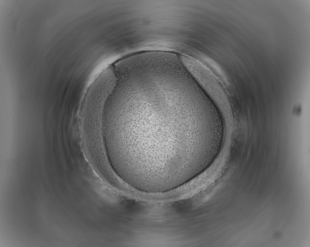 X0000091241192200708161730