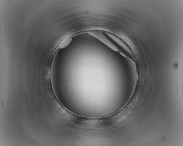X0000091241193200708161730