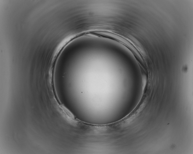 X0000091241196200708161730
