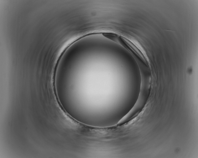 X0000091241197200708161730